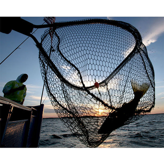 Walleye Fishing