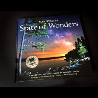 State of Wonders Book